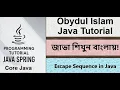 Bangla Java Tutorial 012 - Escape Sequence in Java Core Java