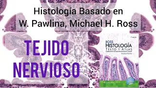 tejido nervioso en 18 minutos neuronas y gl a explicadas f cilmente