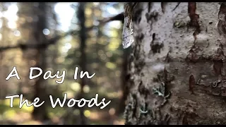 Wilderness Trail Maintenance and Backcountry Burgers