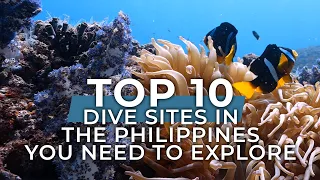 Top 10 Dive Sites in the Philippines You NEED to Explore