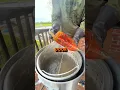 CRAWFISH ON AMAZON