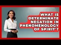 What Is Determinate Negation In Phenomenology Of Spirit - Europe Through the Ages