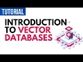 Vector Databases Explained in 10 Minutes Get Started with Qdrant Vector Database with Python