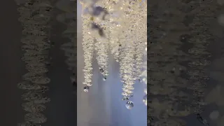 YouTube video preview GDJdrC64sjM