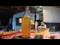 first bottle of jun tea drink