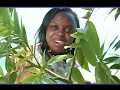 Download Lagu Ebyorikurabamu Nankunda Norah
