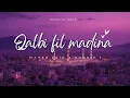 Download Lagu QALBI FIL MADINA - (BY  MAHER ZAIN  X  HARRIS J)  - LYRICS 