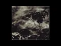 Lagu Desiderii Marginis - 2007  - Seven Sorrows (Dark Ambient | Full Album)