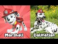 PAW Patrol Dogs In Real Life Learn All Dog Characters Breeds and Personalities for Kids