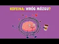 Lagu KAWA: powolny ubytek mózgu czy neuroprotekcja? Oto co naprawdę pokazuje MRI