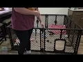 Dog Playpen indoor outdoor with doggie door