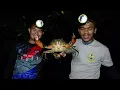 NIGHT HERPING | CARI ULAR DAN KING CRAB DI PAYA BAKAU