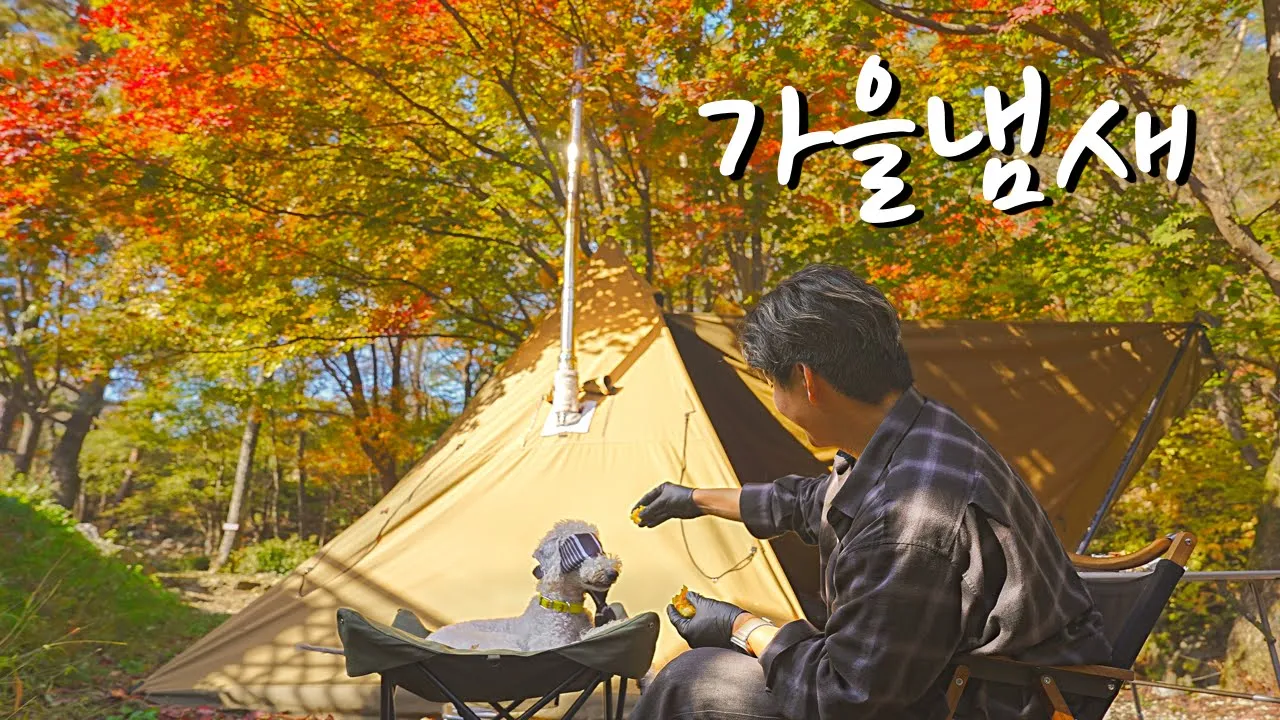 🍁나야, 단풍🍁 대한민국에서 가장 빨리 단풍을 볼 수 있는 캠핑장에서 내 마음대로 흑백 요리사 サムネイル