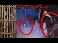 Download Lagu PUSAKA APA YANG BISA MELUPAKAN BAJUL SENGKOLO