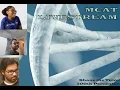 MCAT AAMC FL 3 Exam Review with a 100th percentile scorer