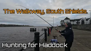 North East | South Shields | The Walkway |Haddock | Codling | Whiting.