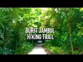 Lagu Walk through BUKIT JAMBUL HIKING TRAIL, PENANG