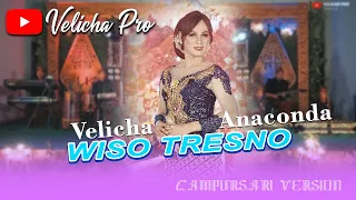 Download VELICHA ANACONDA - WISO TRESNO (Official Music Video Velicha Pro Music) MP3