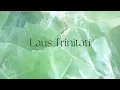 Laus trinitati  / Hildegard von Bingen  D157r  #emelard