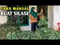 Download Lagu CARA MANUAL MEMBUAT SILASE DAUN SINGKONG