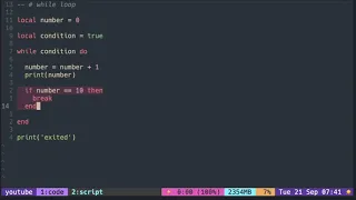 Lua Tutorial with Neovim Loop while loop