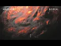 Massane - Boreal