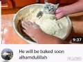 He will be baked soon cat theme
