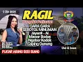 Download Lagu GARA GARA SEBOTOL MINUMAN - DEVI BULE LIVE PLATAR AGUNG - RAGIL PONGDUT