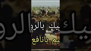 الحوثة كفار جملة وتفصيلا عبدالعليم بانافع 