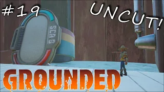 Let s Play Grounded - Uncut The Wendell Sca B