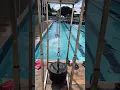 Download Lagu The strength... 🥵 💪📹 (IG) messiasfelipe_ swimming training session