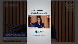 ตับมีหน้าที่สำคัญอะไรบ้าง ทั้งในเรื่องภูมิคุ้มกัน และการจัดการน้ำดีและวิตามินดี