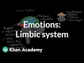 Emotions limbic system Processing the Environment MCAT Khan Academy