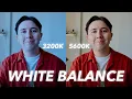Learn White Balance In 2 Minutes Basic Camera Settings Tutorial
