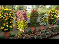 Download Lagu Making of Flower Towers | Vertical Gardening ideas at home | EASY DIY method | Innovative garden