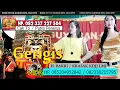 Download Lagu Gerigis Cek Reog Setia Kawan.Hajatan BPK.Tuhan DS.Bence Kdjj Lmj