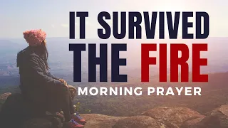 The Forgotten Blessing Priests Spoke Over Israel Every Morning