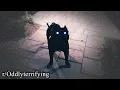 RUN