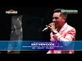 Download Lagu Teman   New Pallapa Live Brotherhoods Gerry Mahesa