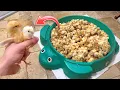 Download Lagu SAVING THOUSANDS OF BABY CHICKS FROM BEING SLAUGHTERED !
