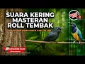 Download Lagu 🔴 Suara Kering Kasar Masteran Roll Tembak Cucak Cungkok Super Gacor vs Srigunting Abu Abu Kunti