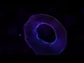 1 Million Particle Animation with Creative Coding - WEBGPU and Threejs