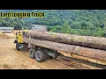 Download Lagu Logging Truck Tua VS Logging Truck Muda!!!