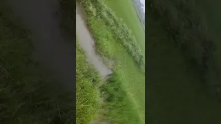 Humara Hara Bhara Aug Goniyato Cute 