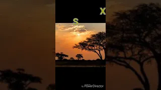 sir hloks sa xxxx afro drum hitt 2019
