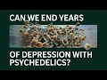How psilocybin changes the brain WashU