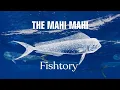 Lagu Catching Mahi Mahi: Everything You Need To Know | Fishtory