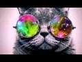 Download Lagu Cut and Dry - Electronic Hard