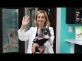 Welcome to Miami Animal Clinic