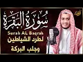 Download Lagu سورة البقرة (كاملة) للشيخ علاء عقل لحفظ وتحصين المنزل وجلب البركة تلاوة رائعة Sourah Baqara